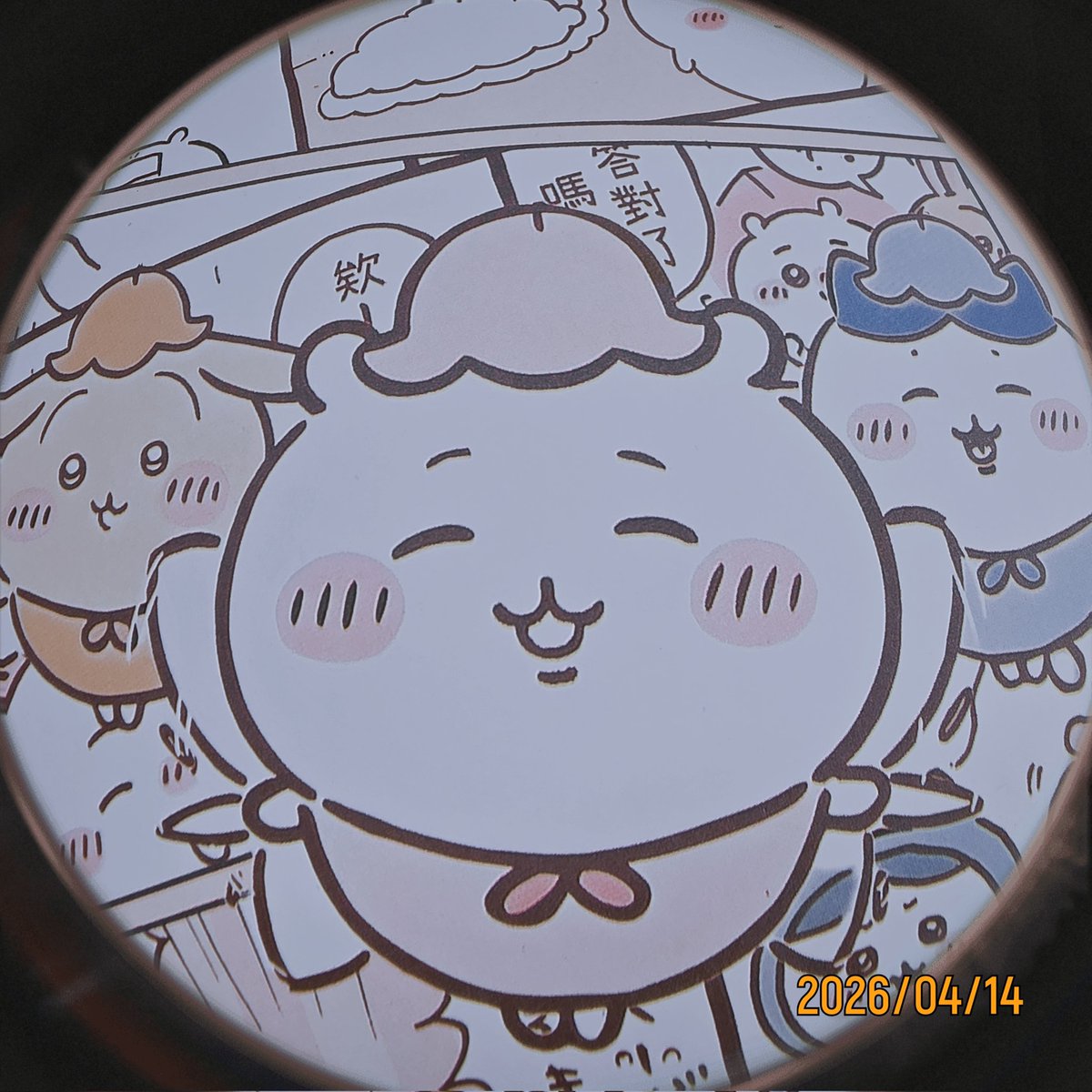 아라하시 타비 tweet media