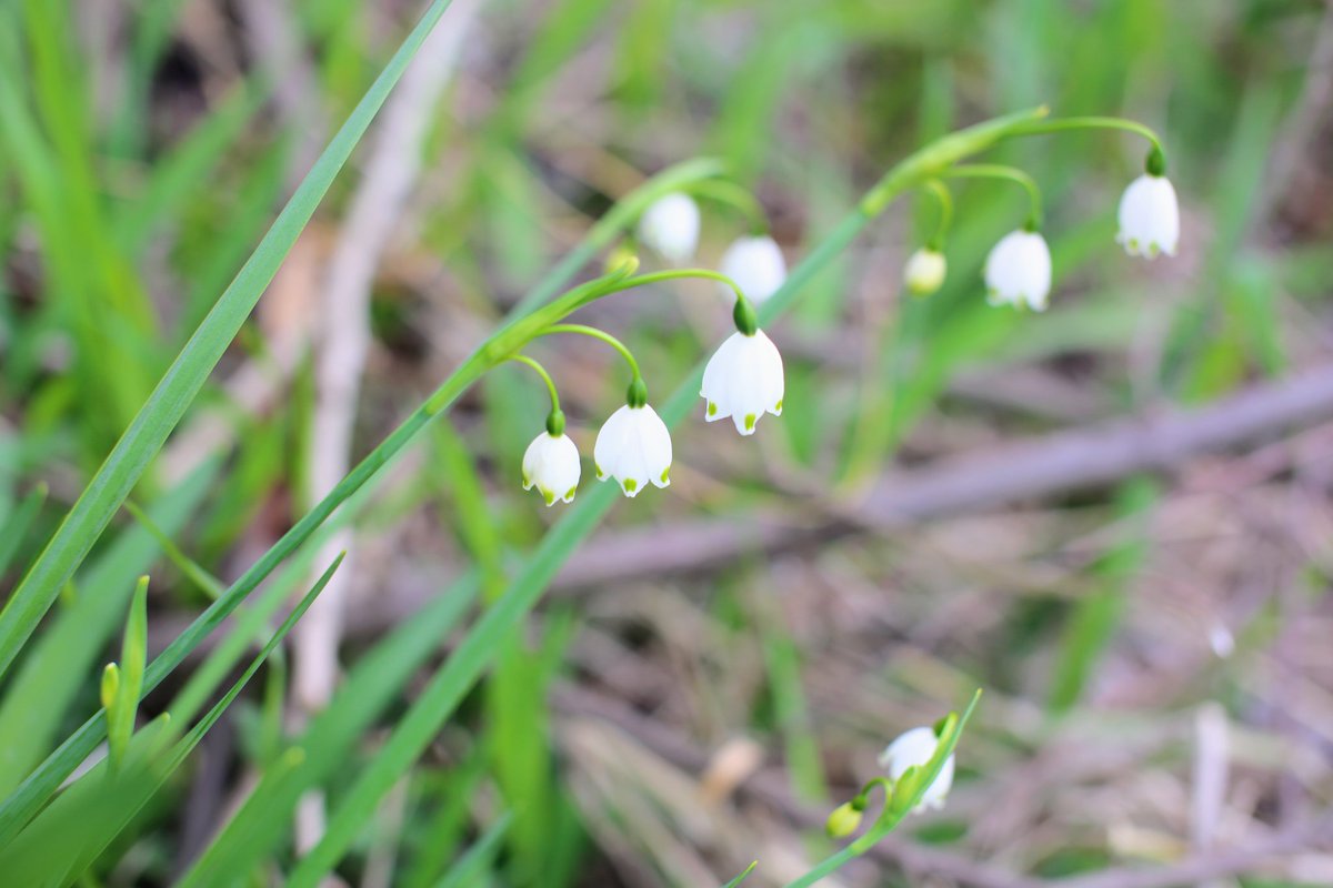 ヨル-𝔜𝔬𝔯- tweet media