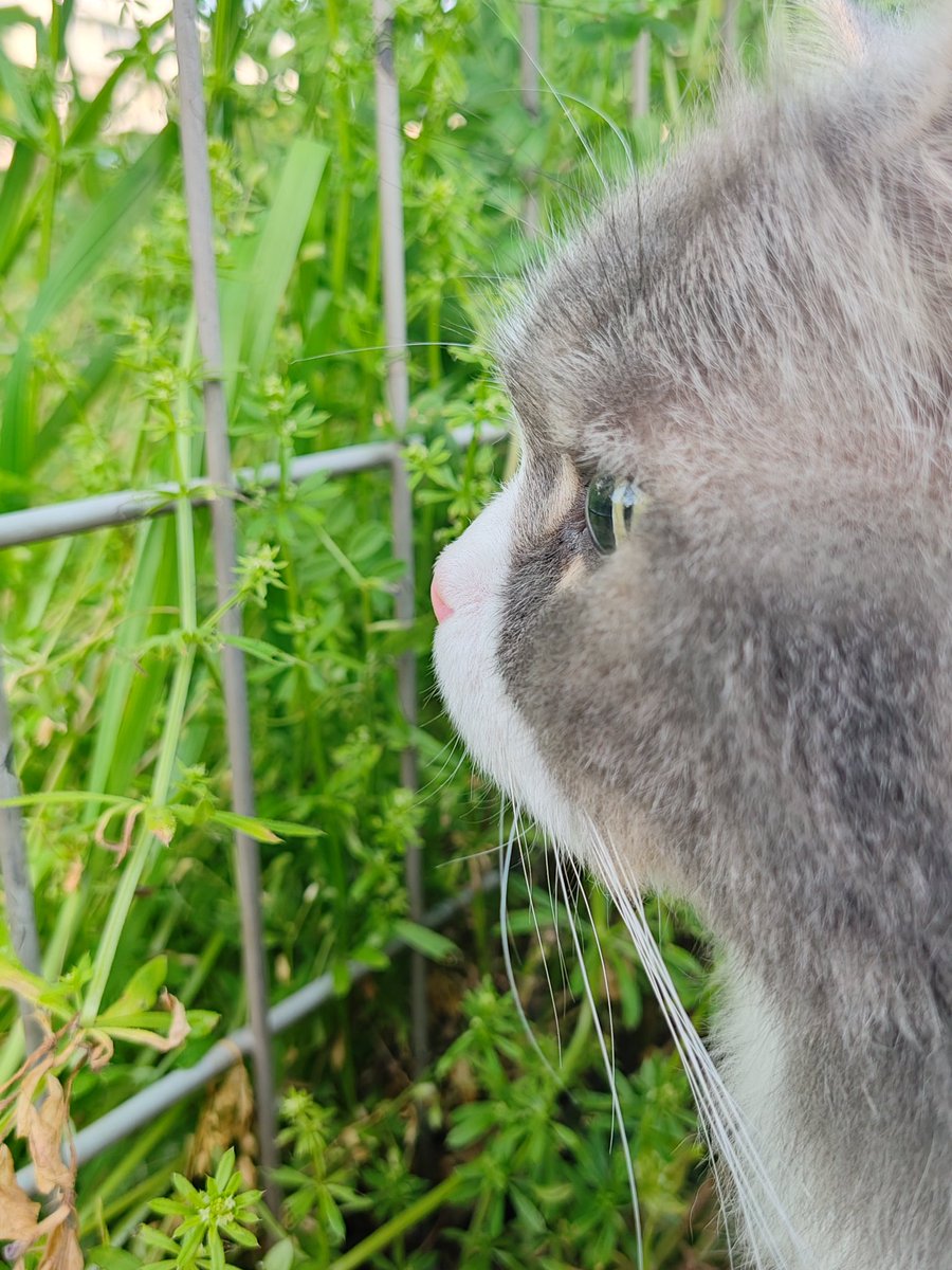 たしかたかし tweet media