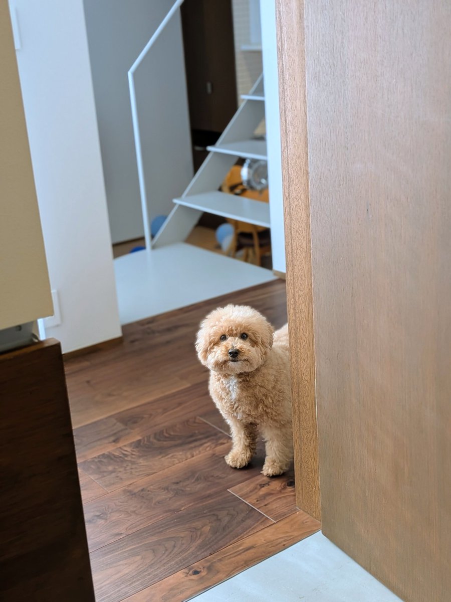 goma@garuda tweet media