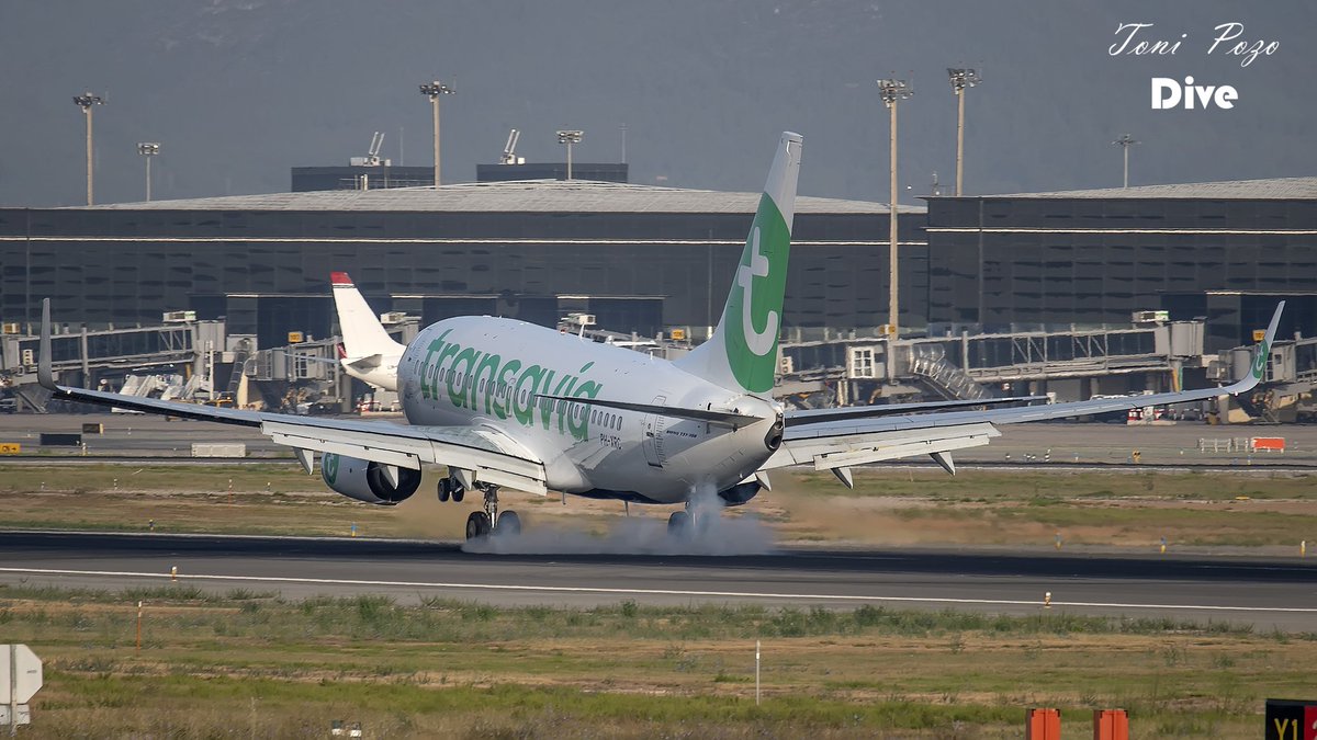 𝕋𝕆ℕ𝕀 ℙ𝕆ℤ𝕆 tweet media