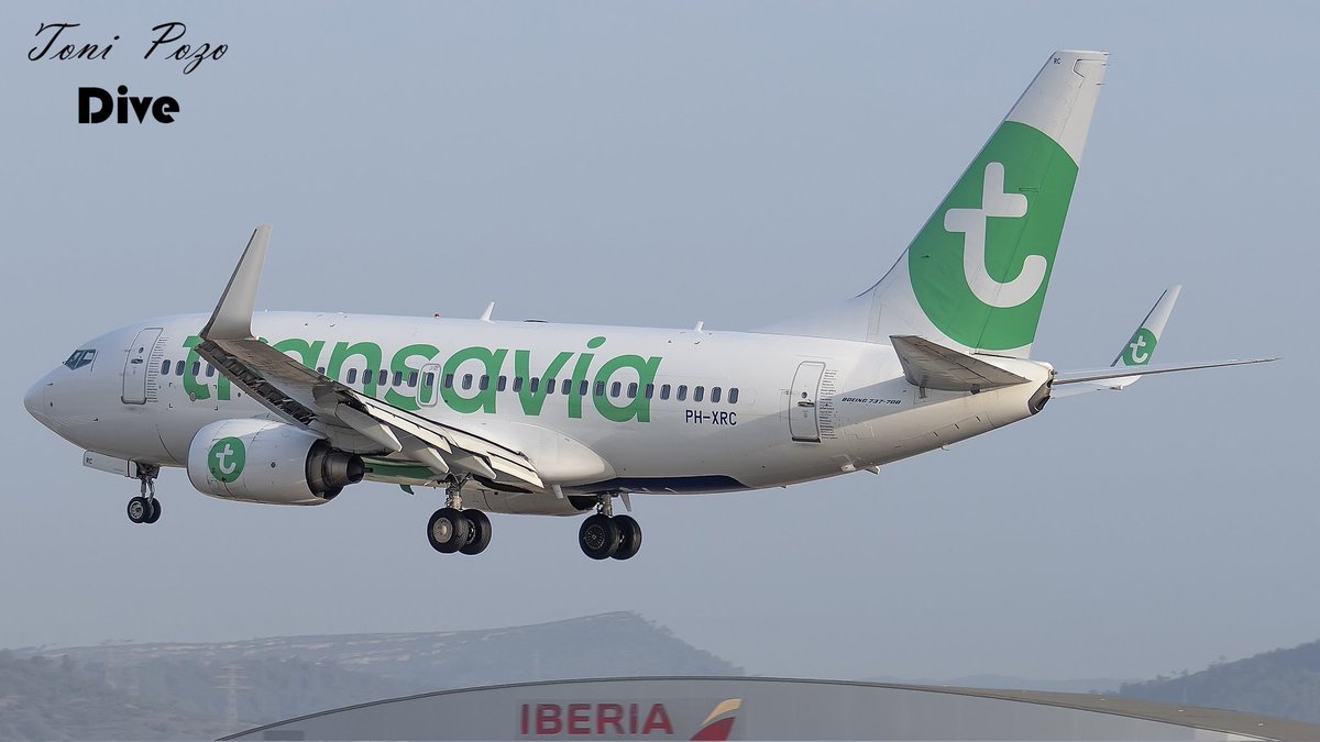 𝕋𝕆ℕ𝕀 ℙ𝕆ℤ𝕆 tweet media