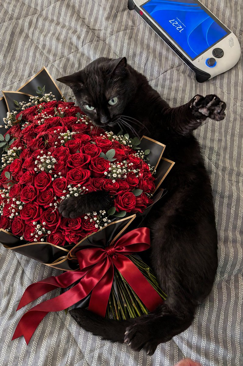 yellowrad tweet media