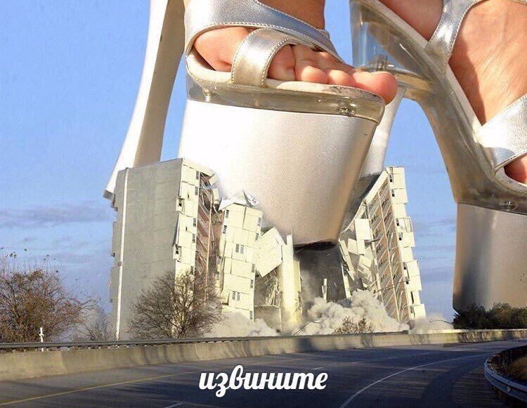 Гоша Симанский tweet media