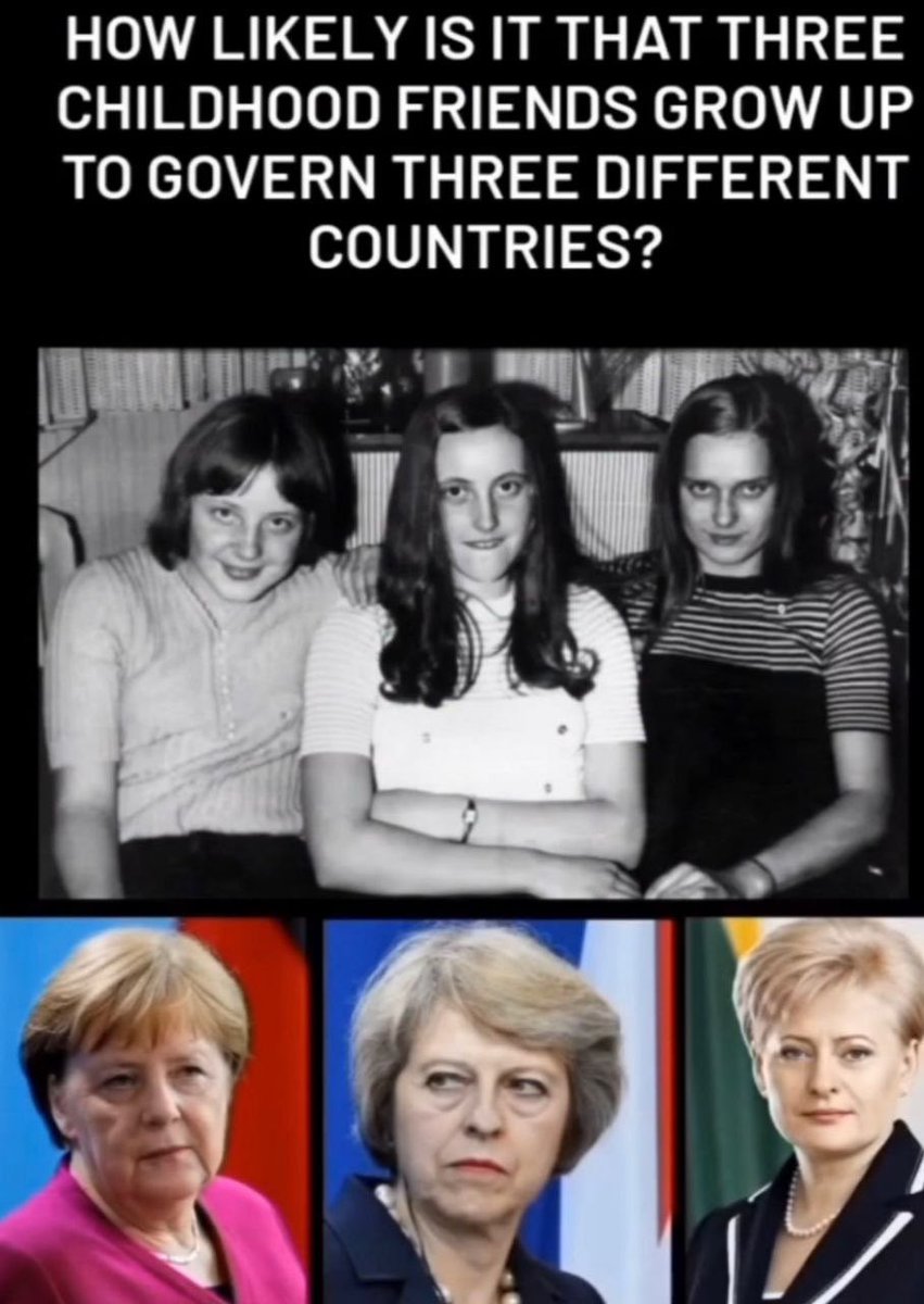 Tina Zimmermann tweet media