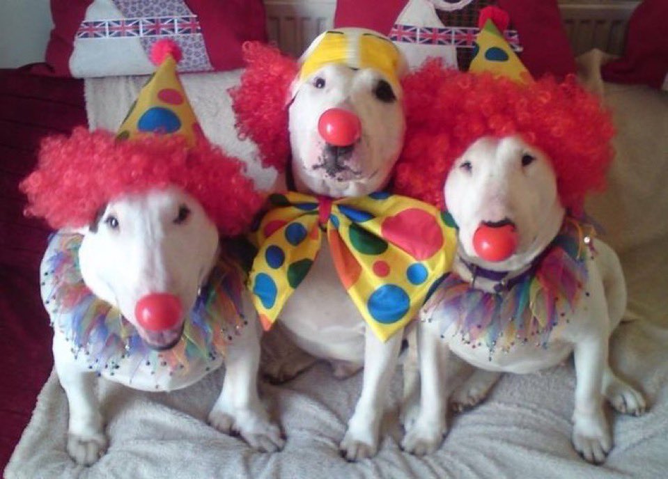 fast 시계쨩 tweet media