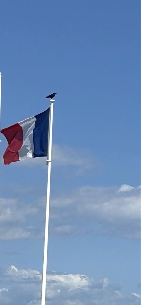 garance60 tweet media