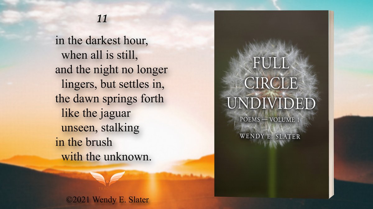 WendyESlater's tweet image. ⭐ ⭐ ⭐ ⭐ ⭐ #bookreview:
"Thank you Wendy for writing with such grace, gratitude, truth and vulnerability." 

#Poetry that leads readers into the transformation of Universal and individual wounds into wisdom.
Get your book: books2read.com/FullCircleUndi…

#bookstwitter 
#readers