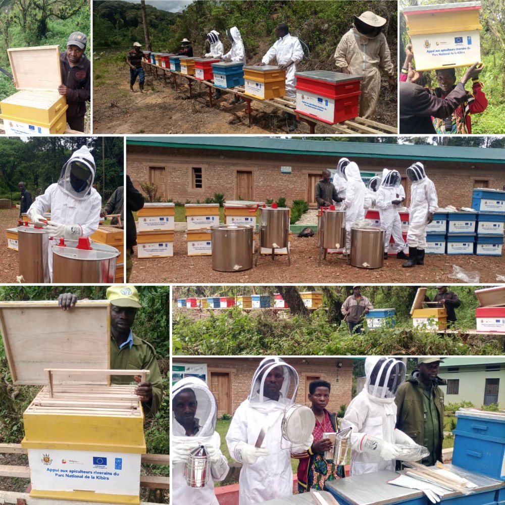 PNUDBurundi's tweet image. Des apiculteurs mieux équipés,des revenus en hausse &amp;amp; une biodiversité mieux protégée.Avec l’appui de la Belgique &amp;amp; @UEauBurundi #PNUD renforce des moyens de subsistance durables autour des parcs nationaux de la Kibira et de la Rusizi,au bénéfice des communautés &amp;amp; des écosystèmes