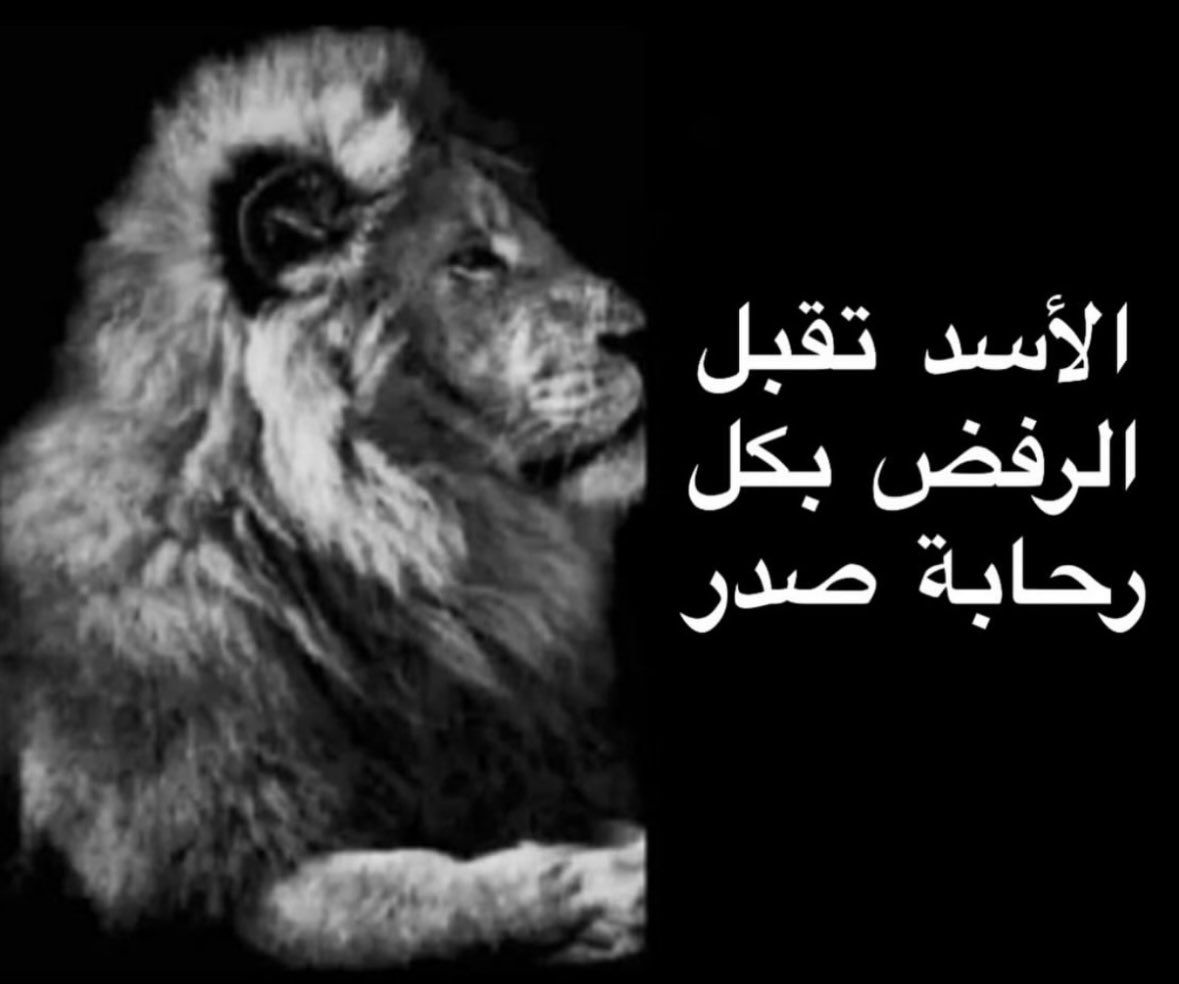 نصرت tweet media