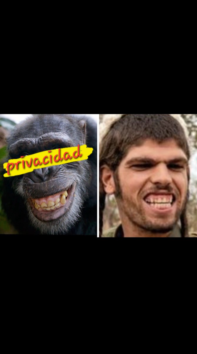 Yosi Decastro Mesquita tweet media