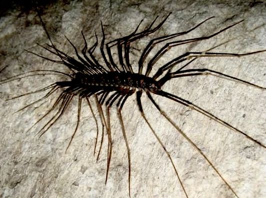 акураакураакураакура tweet media