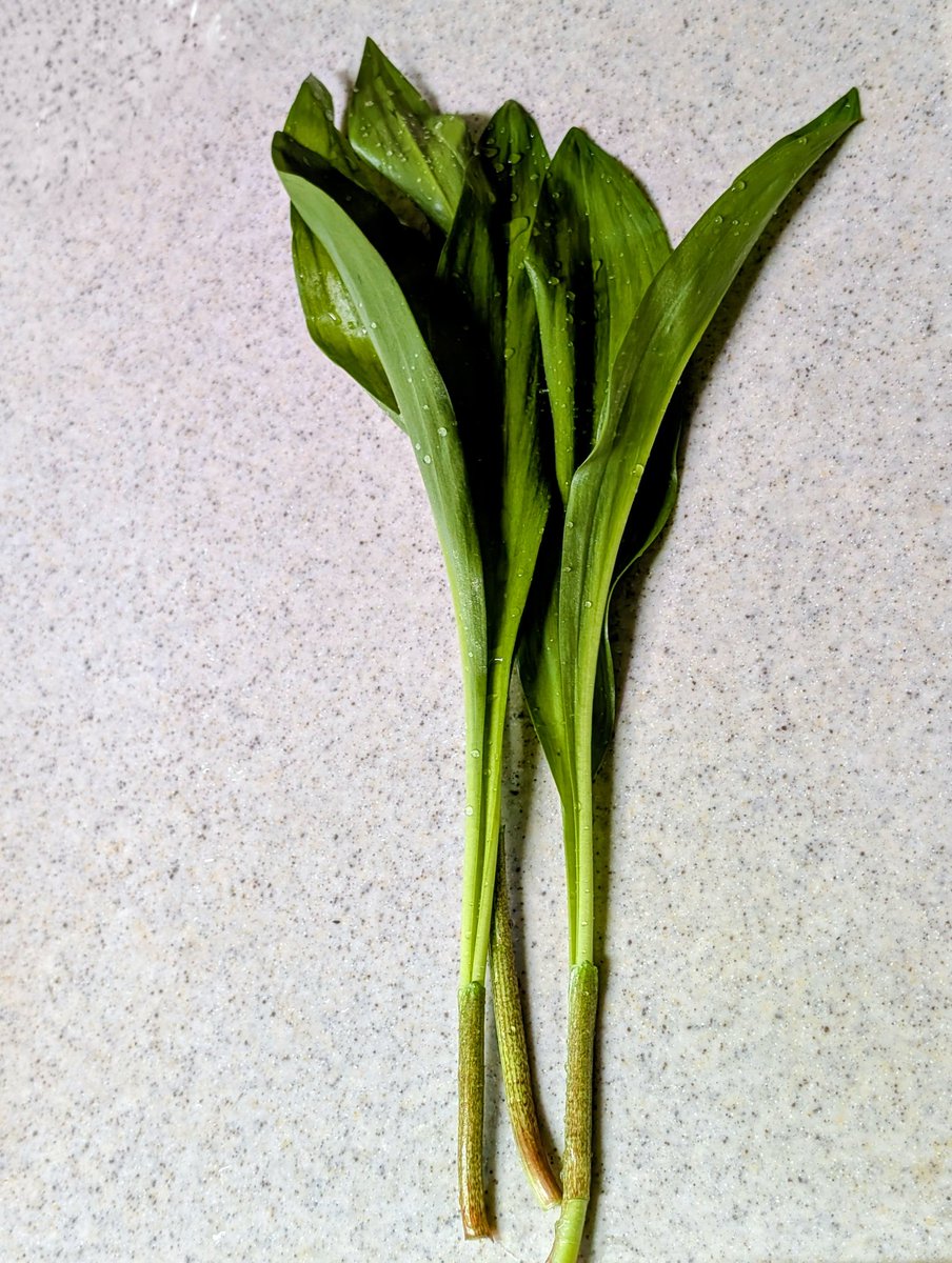 波斯波＠Periodic Apartment tweet media