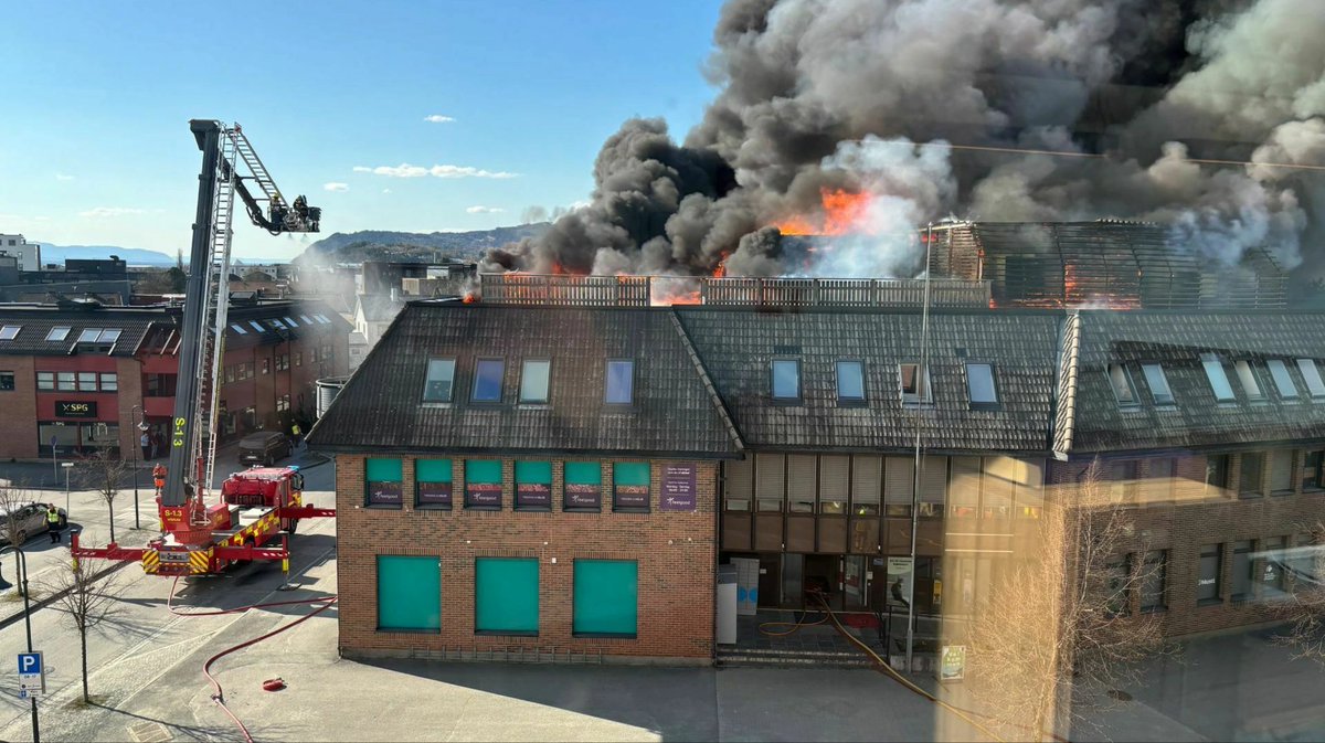 Helene Tveiten tweet media