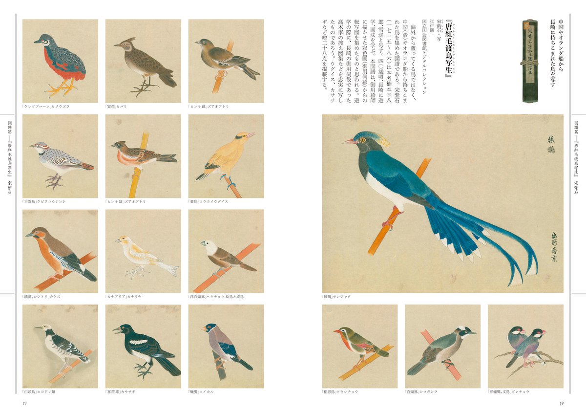 本日5月10日から #愛鳥週間 🕊️ 小社からは狩野博幸監修『江戸の図譜