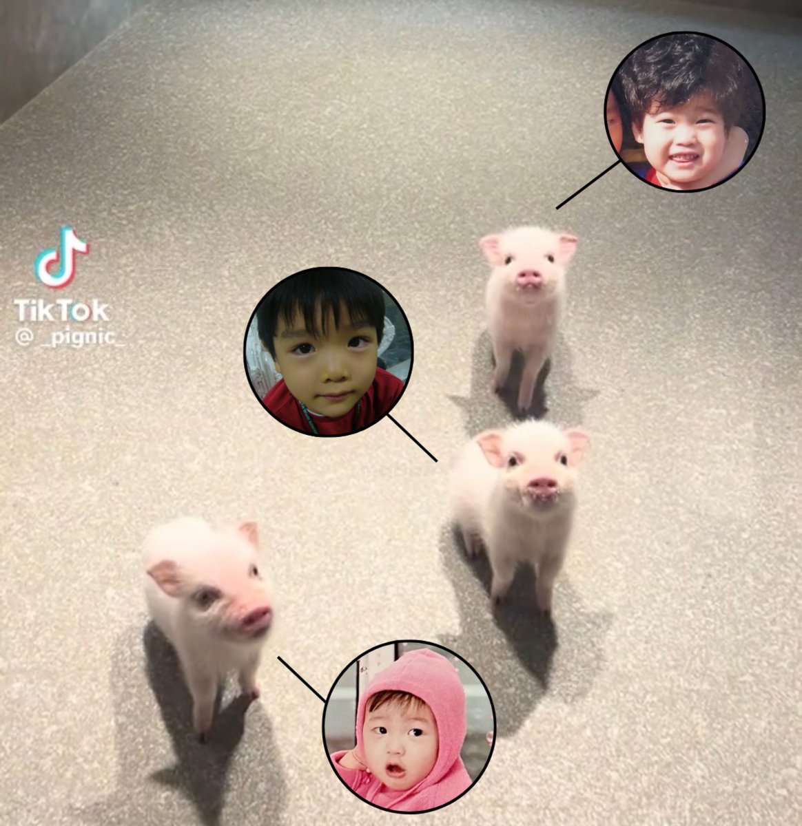 แก้งอุ้สอ้วลลล🐽🐽🐽