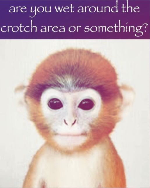 ‍ ‍ ‍ ‍ 𝕵𝐎͟𝐊͟𝐄͟𝐒͟ 𝐎͟𝐍͟ 𝐘͟꩜𝐔 tweet media