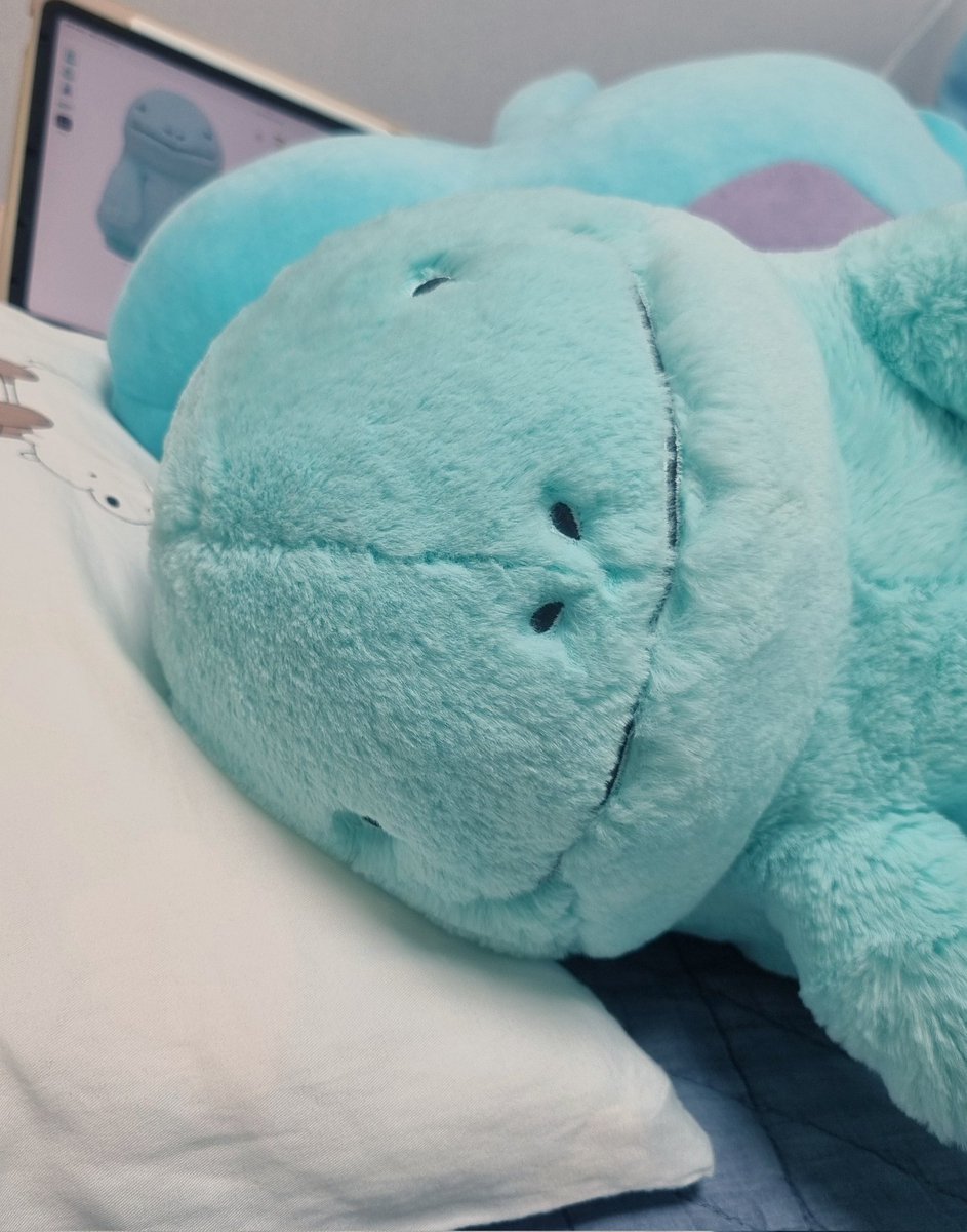 쩜눈사랑단 tweet media