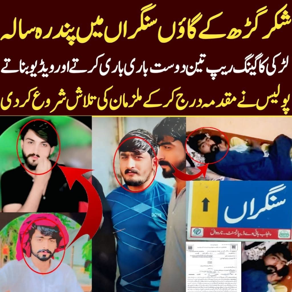 MEHAR_IMTIAZ🇵🇰 tweet media