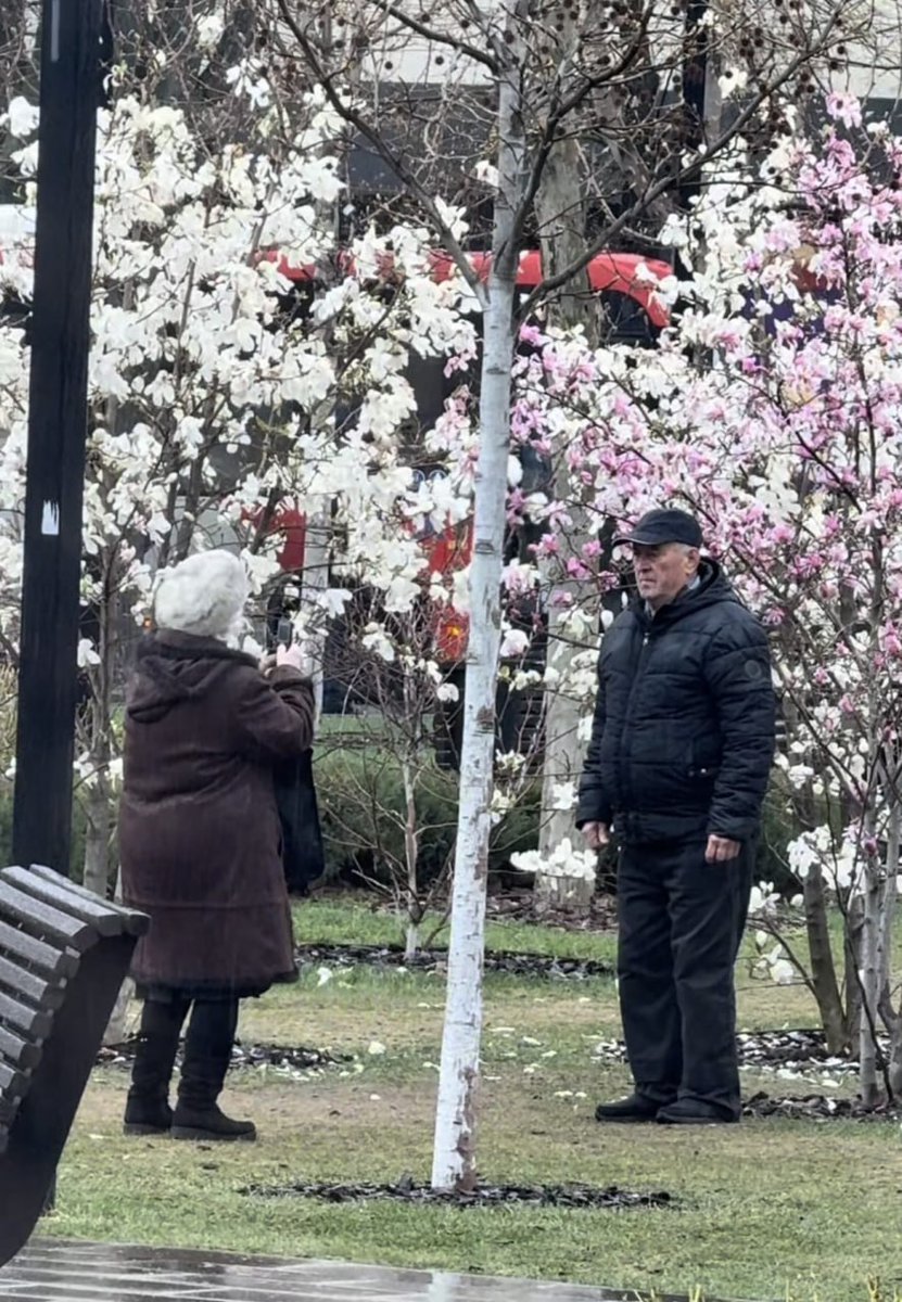 This is love. An elderly couple taking pictures in front of magnolia in Kyiv