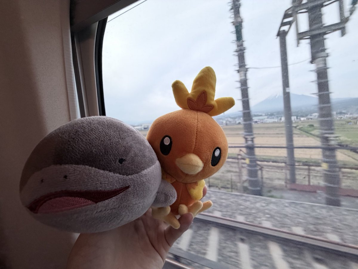 かっこー tweet media