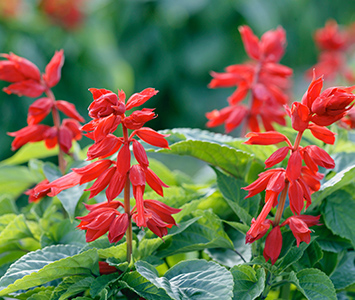 ALSOK【公式】 tweet media