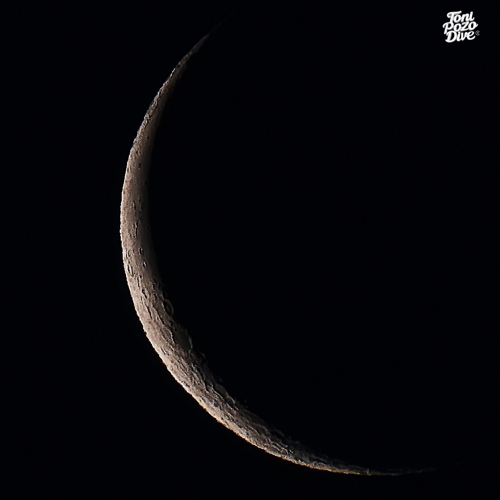 𝕋𝕆ℕ𝕀 ℙ𝕆ℤ𝕆 tweet media