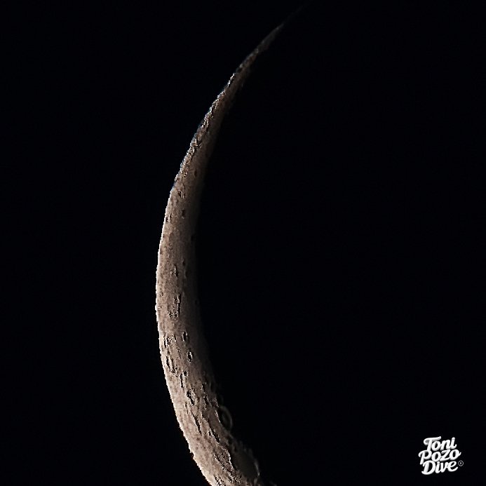 𝕋𝕆ℕ𝕀 ℙ𝕆ℤ𝕆 tweet media