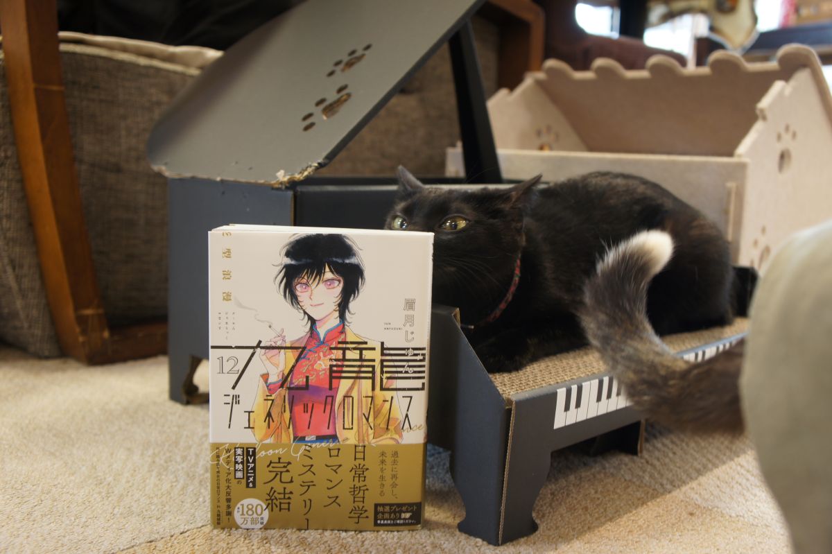 くんくん中のおぐらとあがりのしっぽ

新刊入荷しました
九龍ジェネリックロマンス 12巻 完結！！！