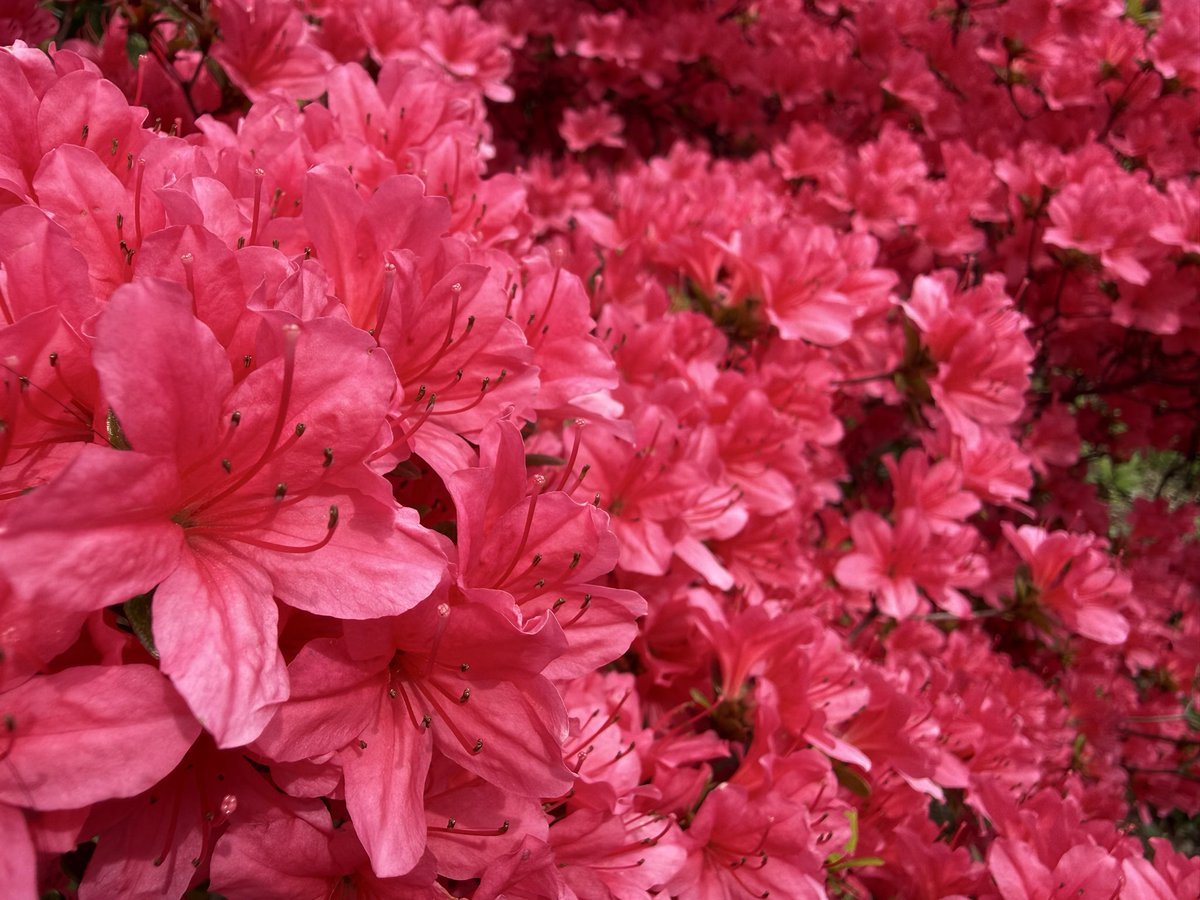 Clthen(ぜん) tweet media