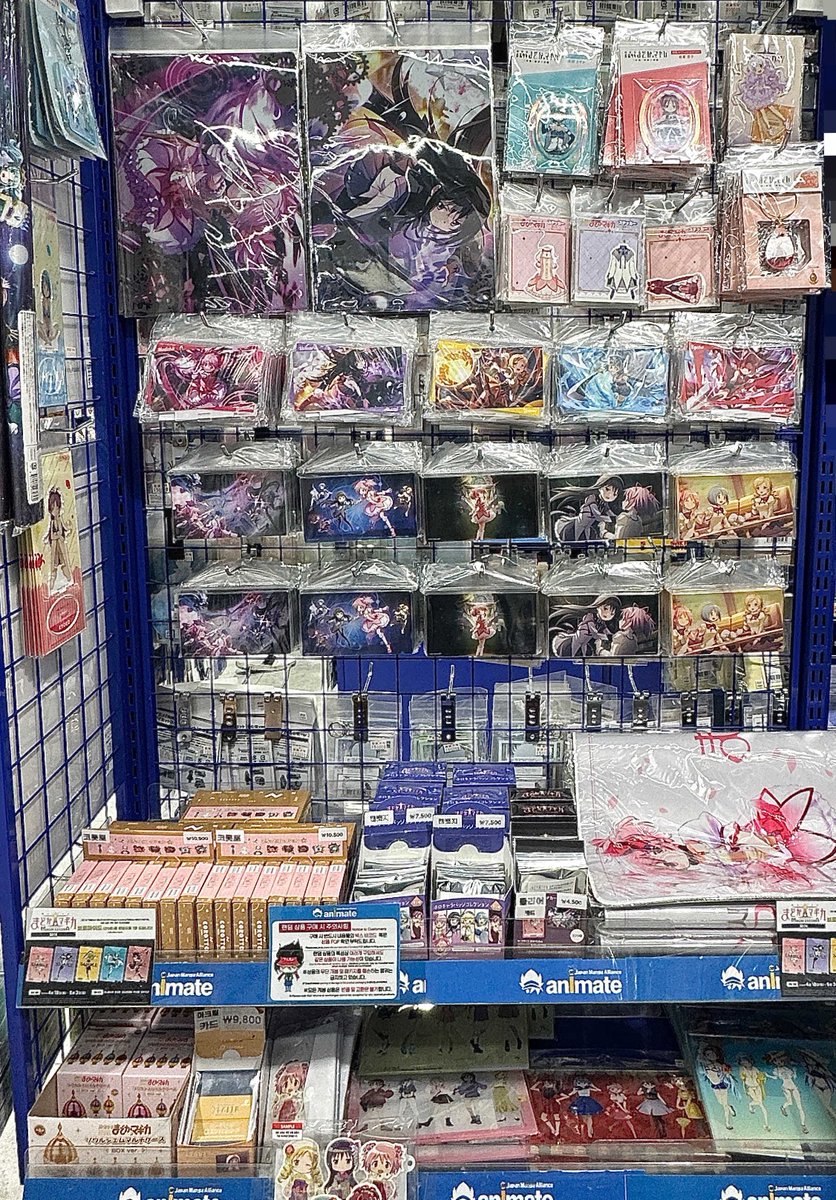 animate 서울홍대점 tweet media