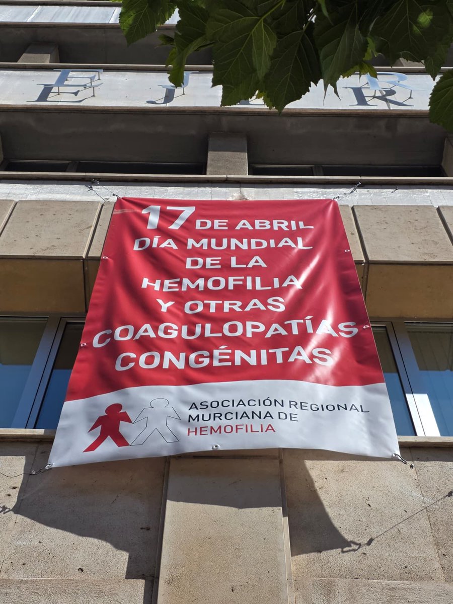 Oyeee, ¿te has fijao 🤗 en la fachada de la consejería de Salud?

Así está nuestra pedazo pancarta por el #DíaMundialHemofilia 
y otras #coagulopatías congénitas del 17 abril

🔬Lema este año: "El diagnóstico: primera etapa de la atención" 
<a href="/fedhemo/">FEDHEMO - Hemofilia</a> <a href="/Murciasalud/">Murciasalud</a> #RetoPrendaRoja