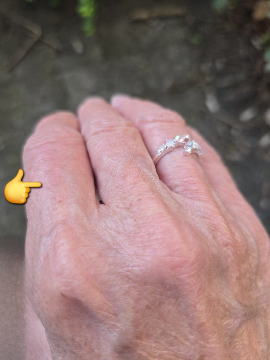 CrissyCat🕊😸 tweet media