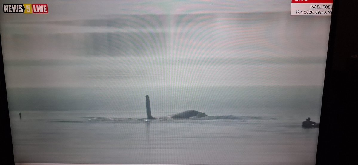 MonikaFrance's tweet image. #Timmy #Hope 💚🐳 bewegt sich so stark wie seit Wochen nicht mehr. Er hat sich gedreht, will weg.
#Buckelwal