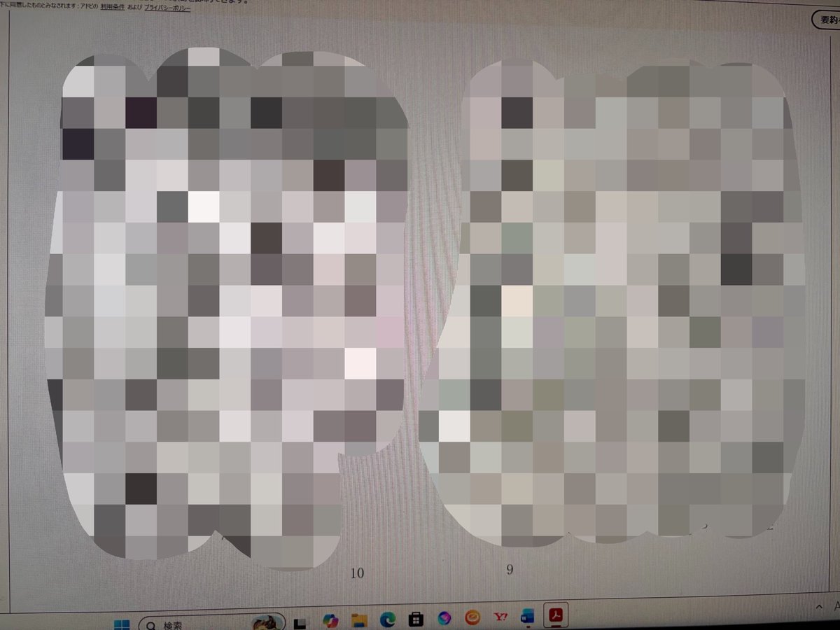 柴田🐾小説家 tweet media