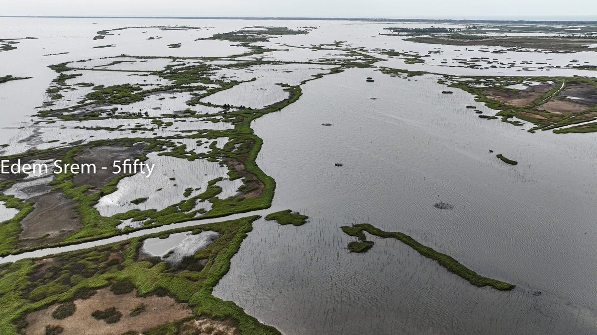 Edem Srem tweet media