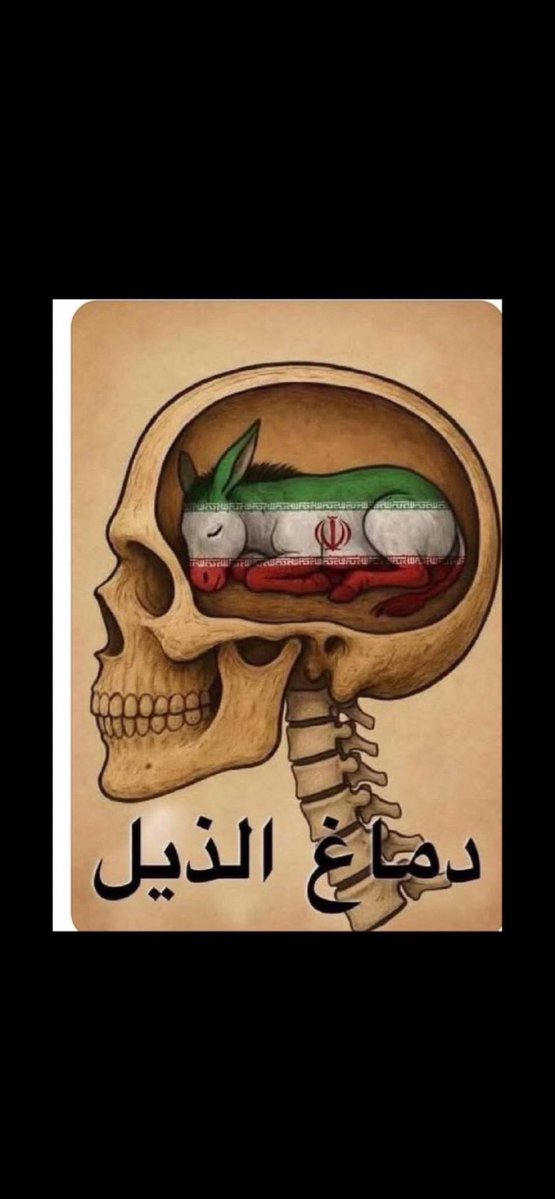 mohammed tweet media