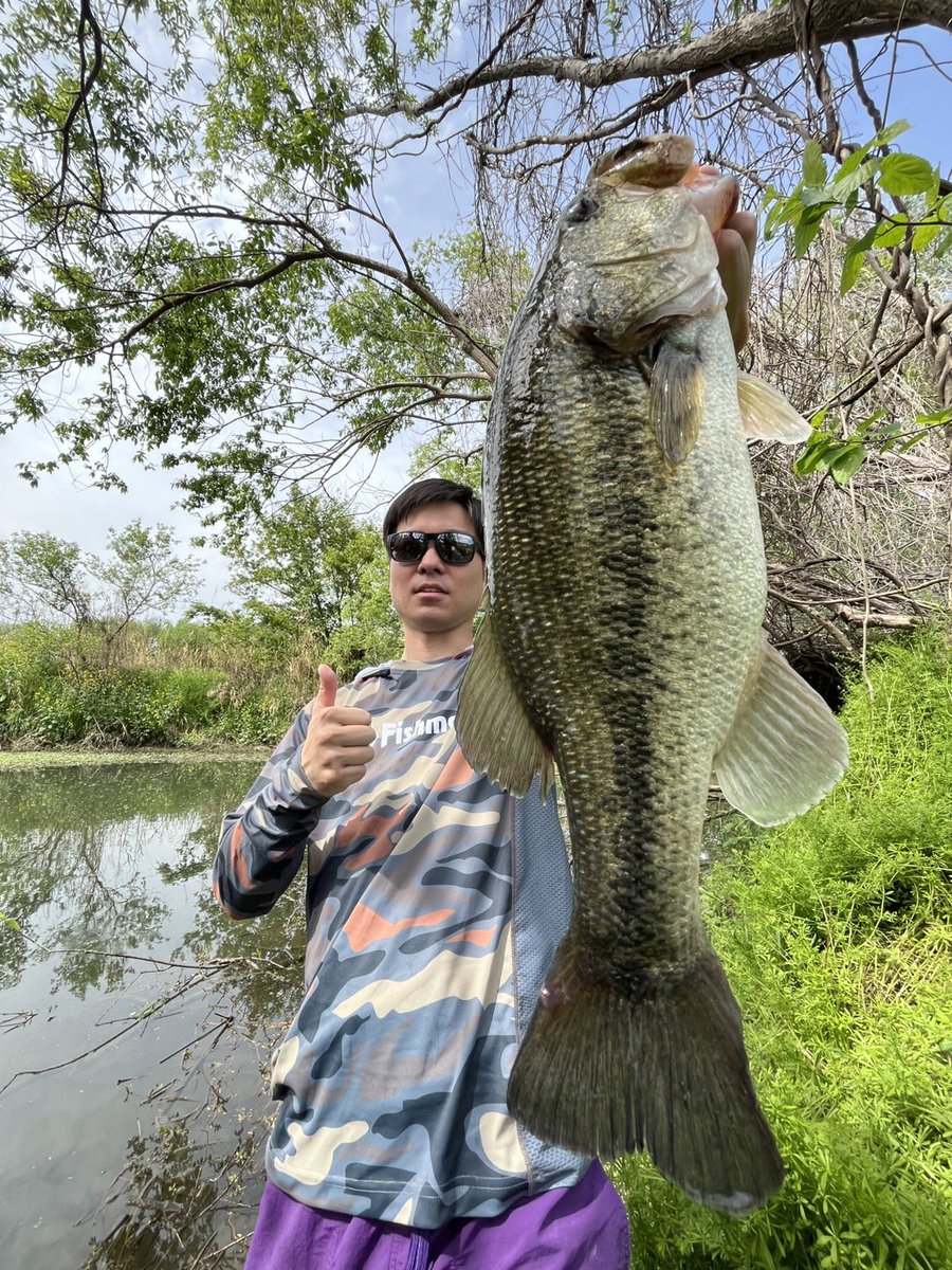 ゆうきち(ファンペルシー) tweet media