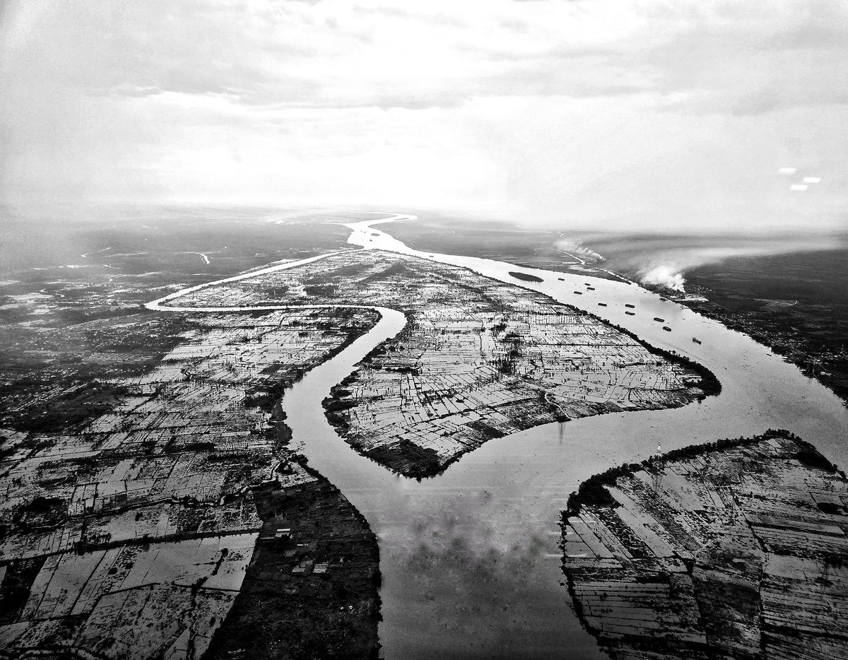 William Dalrymple tweet media