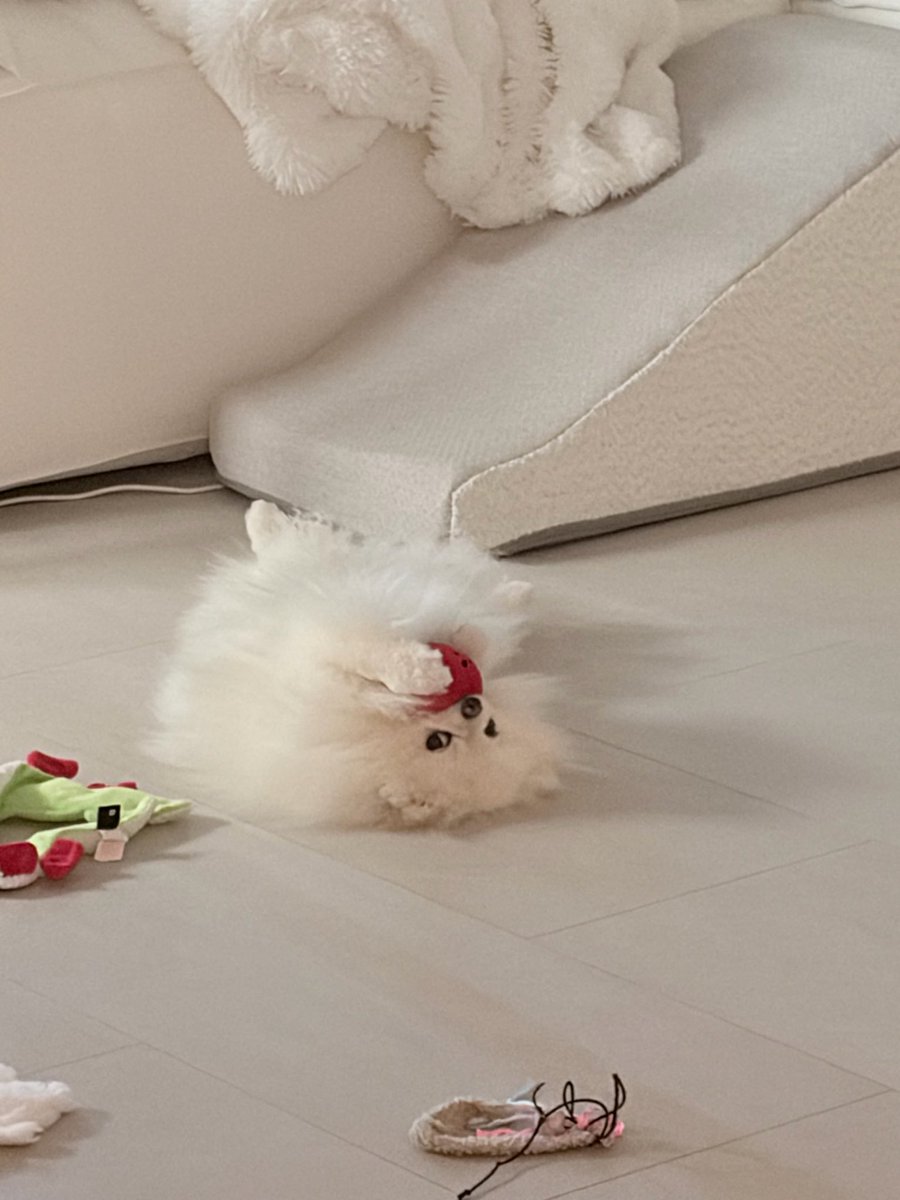 annette.🌻 tweet media