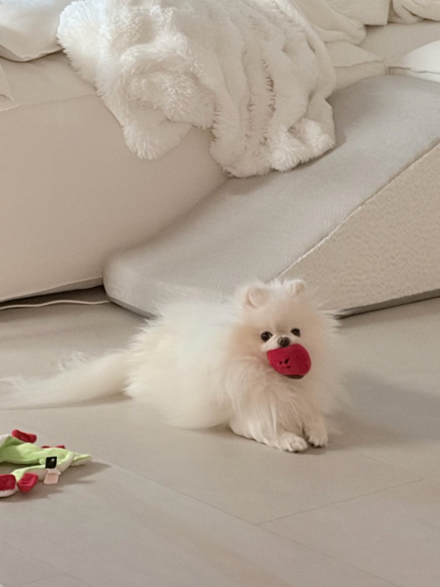 annette.🌻 tweet media