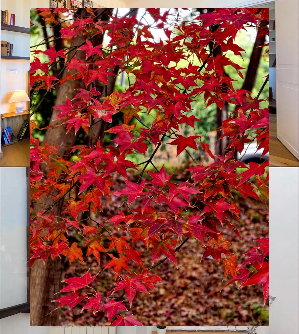 Mike West tweet media