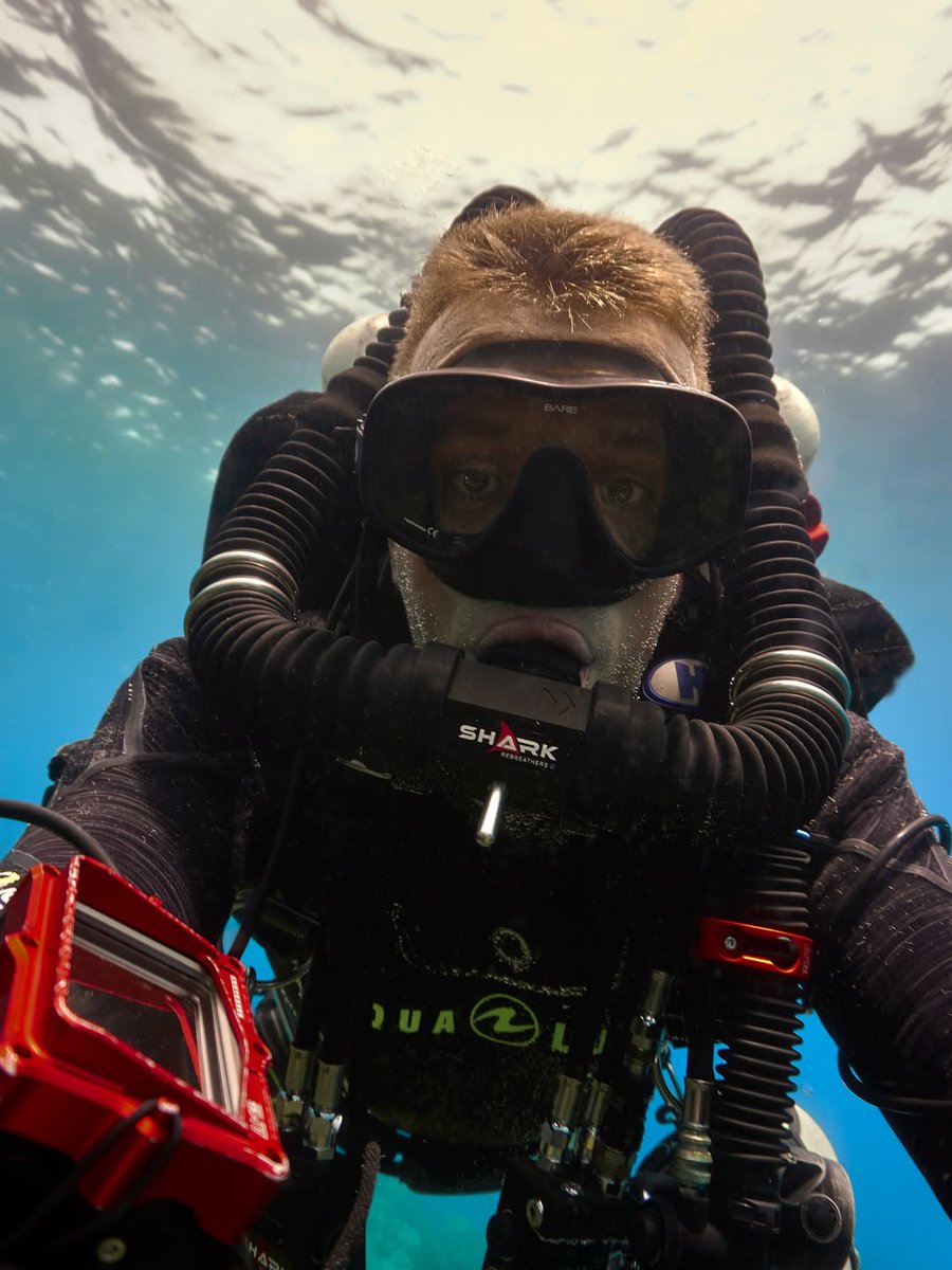 LoS-Scuba tweet media