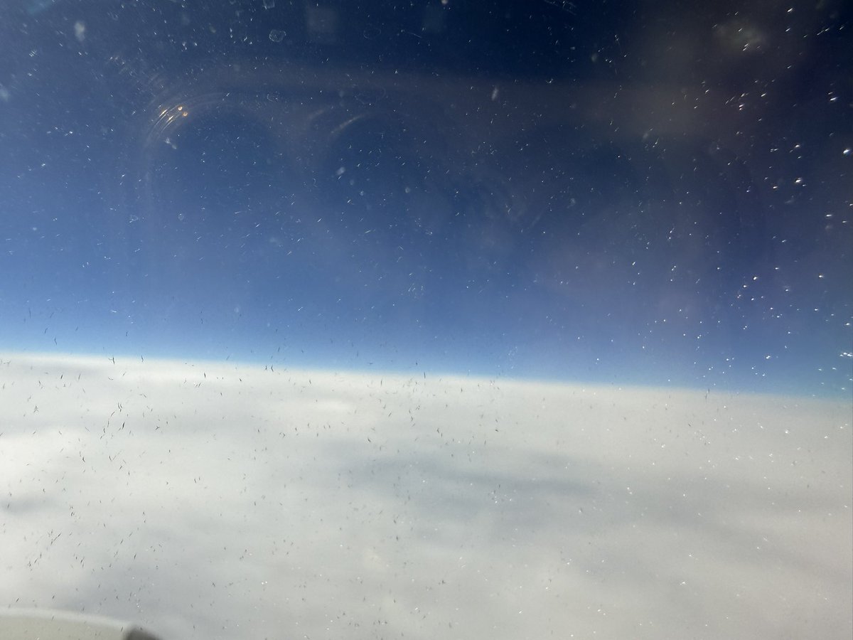 いわたけいこ。＠トランペット道場 tweet media