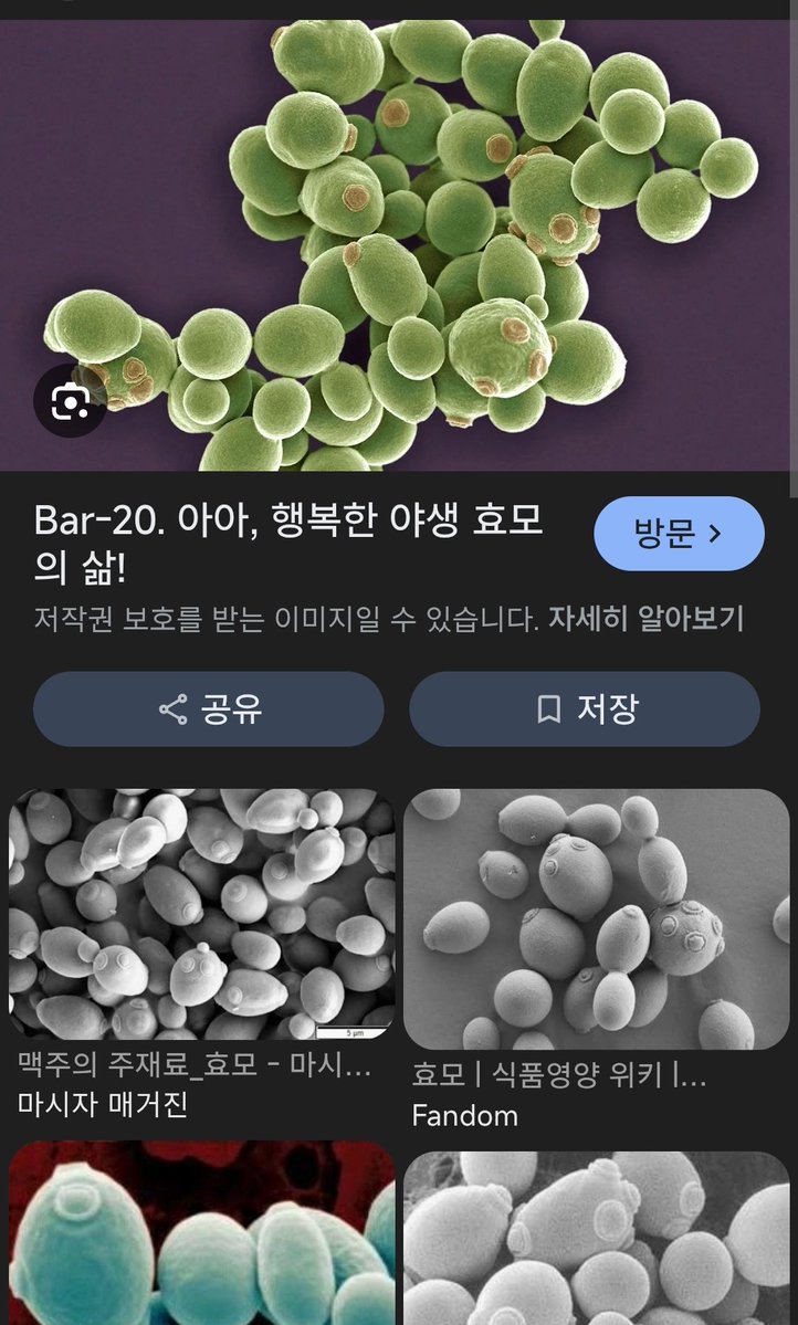 머랭_CD tweet media