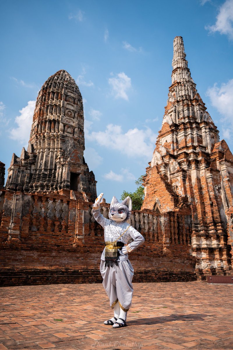 Link🔜Thaitails 🇹🇭 tweet media