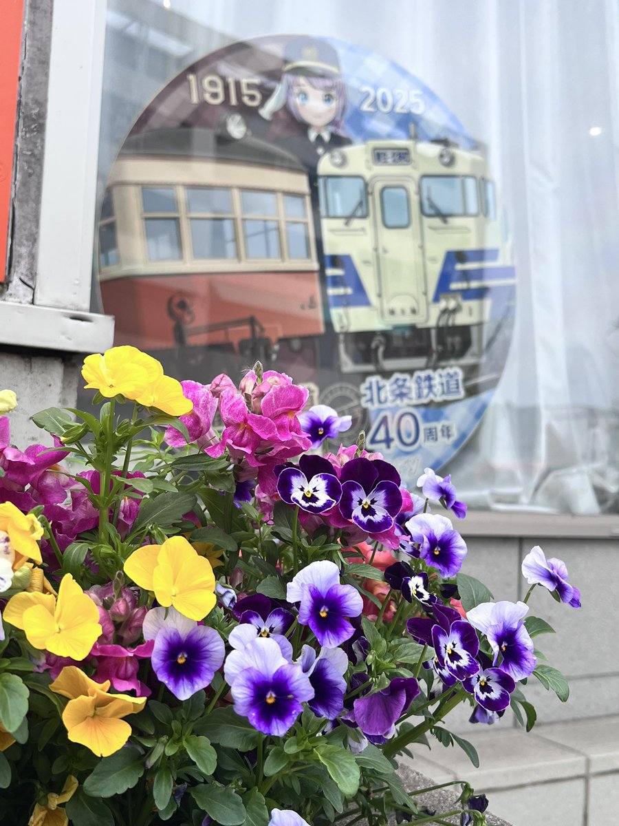 よろづのかるみ tweet media