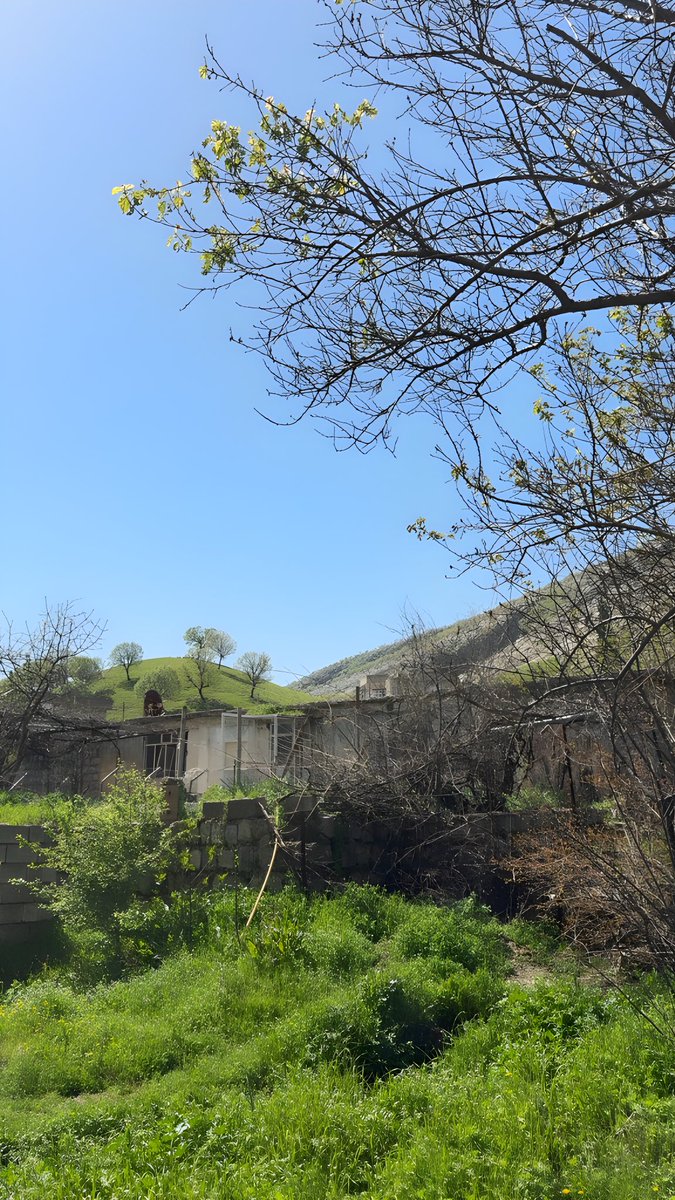 вαяαи ѕαℓαн tweet media