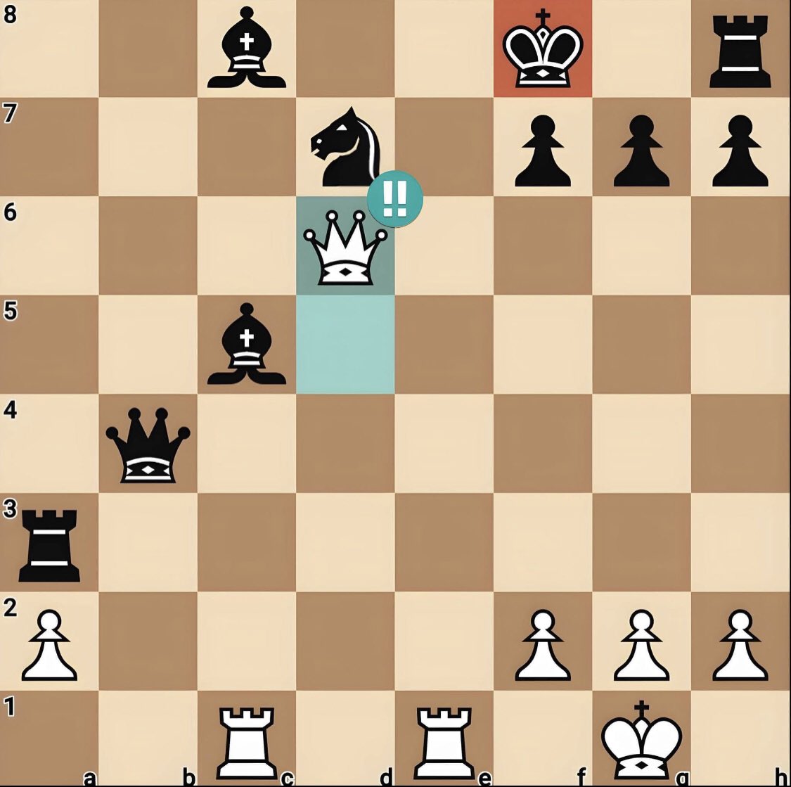 Chess Feed tweet media