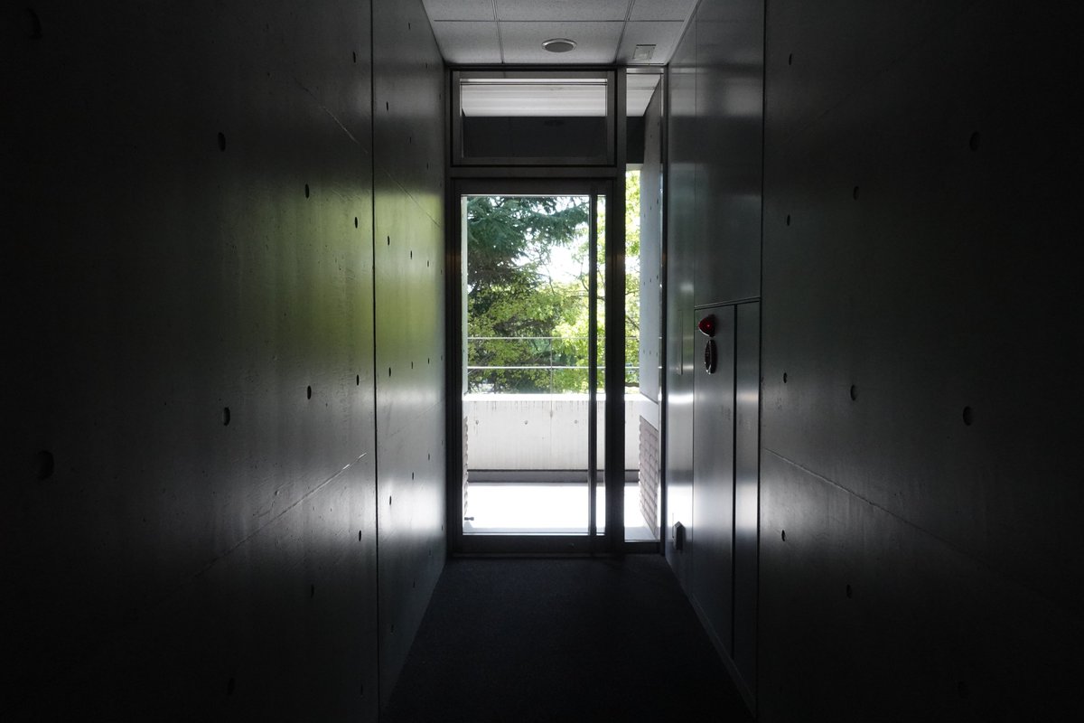 国立音楽大学 tweet media